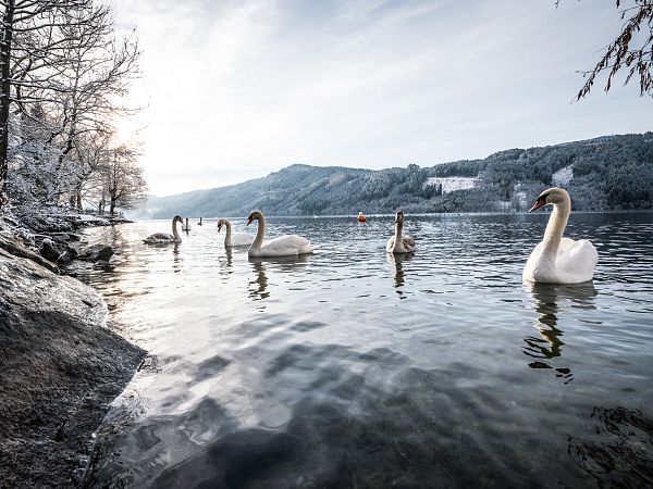 Winter in Seeboden