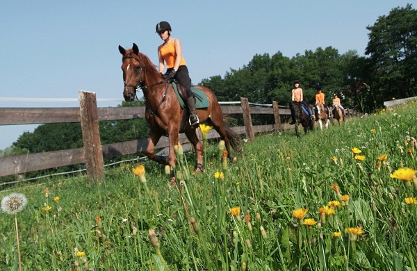 A cavallo al lago Millstätter See